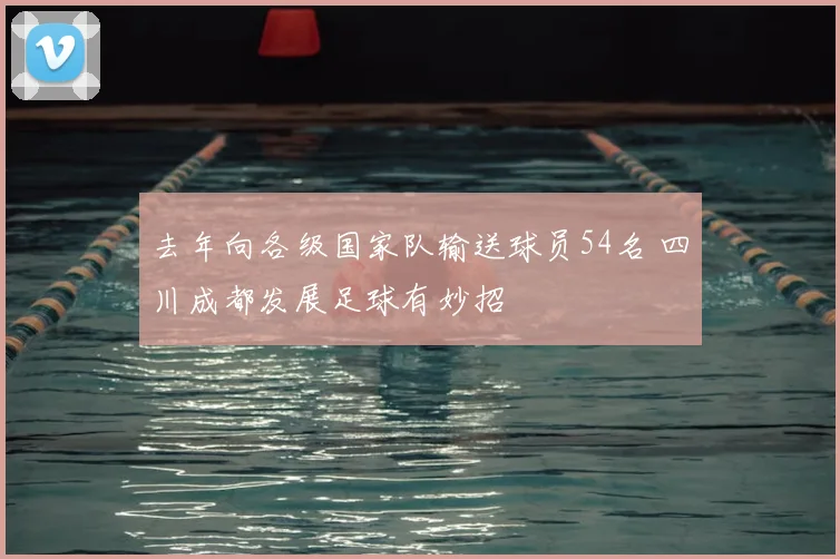 去年向各级国家队输送球员54名 四川成都发展足球有妙招