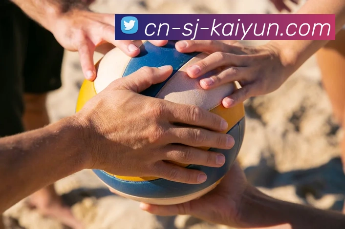 开云平台生态图